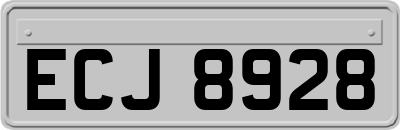 ECJ8928