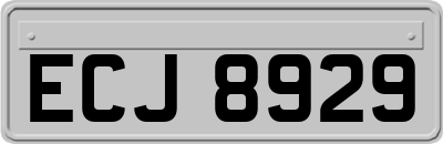 ECJ8929
