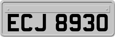 ECJ8930
