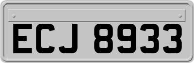 ECJ8933