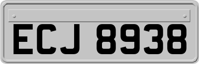 ECJ8938