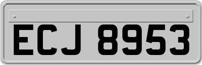 ECJ8953