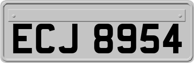 ECJ8954