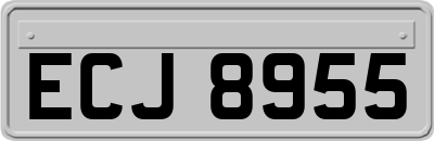 ECJ8955