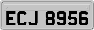 ECJ8956