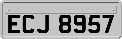 ECJ8957