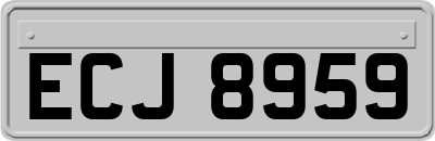 ECJ8959