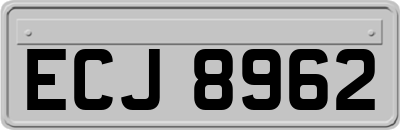 ECJ8962