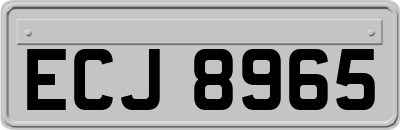 ECJ8965
