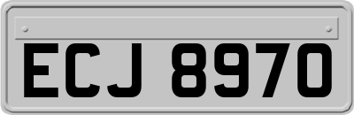 ECJ8970