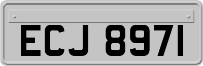 ECJ8971