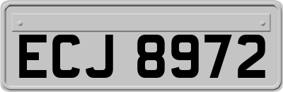 ECJ8972
