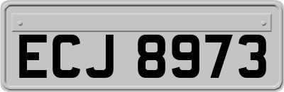 ECJ8973