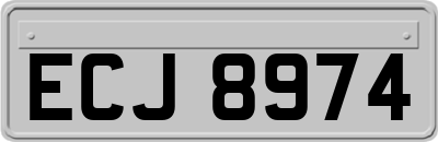 ECJ8974