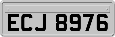 ECJ8976