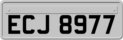 ECJ8977
