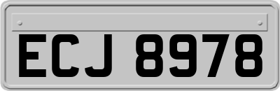ECJ8978