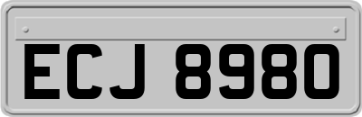 ECJ8980