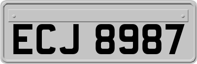 ECJ8987