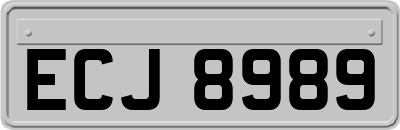 ECJ8989