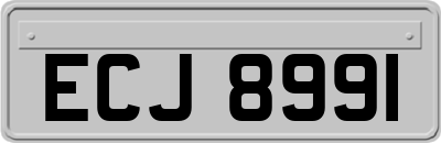 ECJ8991