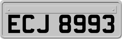 ECJ8993