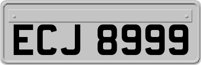 ECJ8999