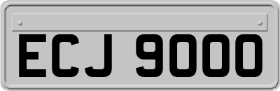 ECJ9000