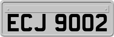 ECJ9002