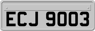 ECJ9003