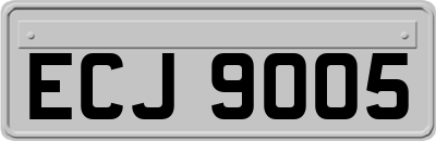 ECJ9005