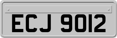 ECJ9012