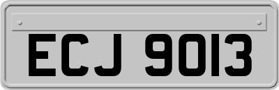 ECJ9013