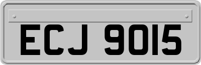 ECJ9015