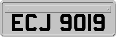 ECJ9019