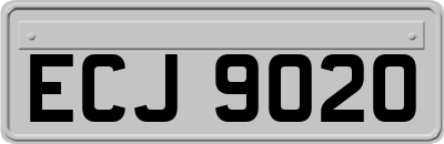 ECJ9020
