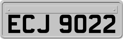 ECJ9022