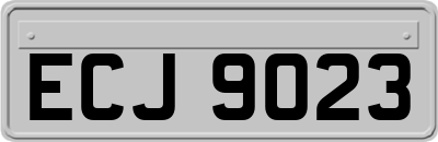 ECJ9023