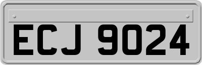ECJ9024