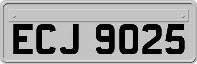 ECJ9025