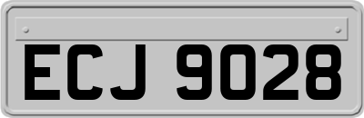 ECJ9028