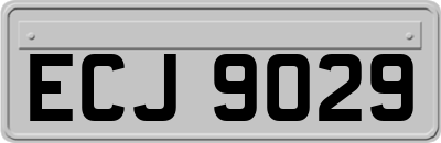 ECJ9029