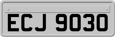 ECJ9030