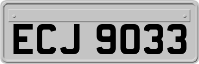 ECJ9033