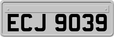 ECJ9039
