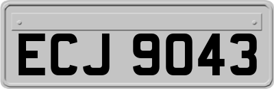 ECJ9043