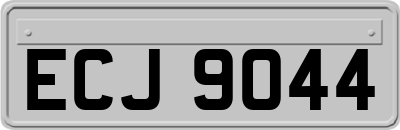 ECJ9044
