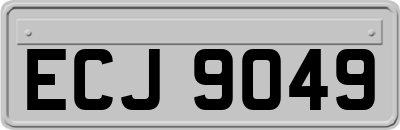 ECJ9049