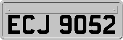 ECJ9052