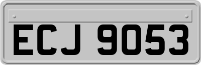 ECJ9053